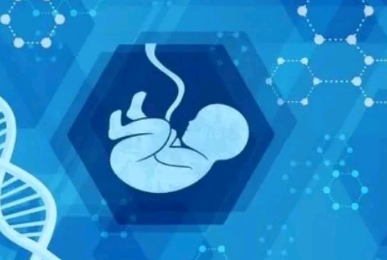 西安供卵代孕公司,自助泰国试管婴儿亲身经历（附攻略）-西安供卵试管哪里做