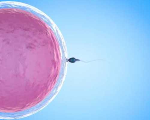<strong>卵巢功能早衰就不能怀孕了吗&供卵的过程</strong>