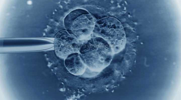临淄区53岁试管一定要做三代_试管婴儿第五天的4bb囊胚质量到底怎么样？