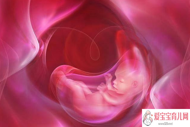 西安代孕孩子套餐|试管婴儿移植后几天可以验孕试管婴儿移植验孕成功怎么保